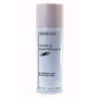 Accessories -  Holding Spray - Brandywine (10 oz)