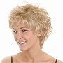 Aspen Wigs Candice C-240