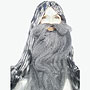 Lacey Wigs Beard - Coal Miner1  Long Wig & Beard - 1005