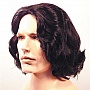Lacey Wigs Beethoven