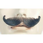 Lacey Wigs - Mustache - English - Price: $12.00