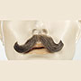 Lacey Wigs Mustache-Small English-M-10