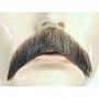 Lacey Wigs Mustache - Walrus