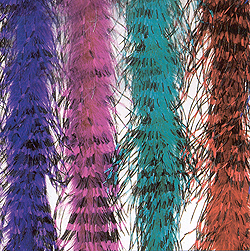 Fur and Feather Boas - Two-Tone Deluxe Ostrich Boa - Price: $35.99