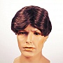 Lacey Wigs Men's - Regis Philbin