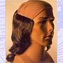 Lacey Wigs Shakespeare - Deluxe