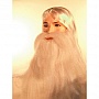 Lacey Wigs Wizard Wig & Beard Set - Special Bargain