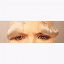 Lacey Wigs Santa - Eyebrows Lace