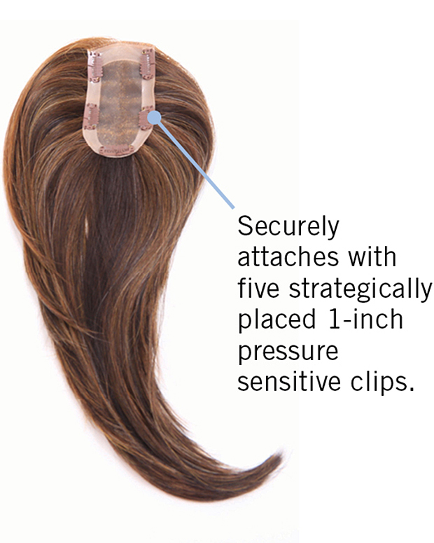 Top of Head by Hairdo Hairpieces Ace Wigs