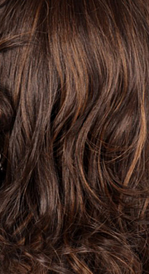 FS4/27 - 80% Medium Dark Brown (4) with Honey Auburn Frost (27)