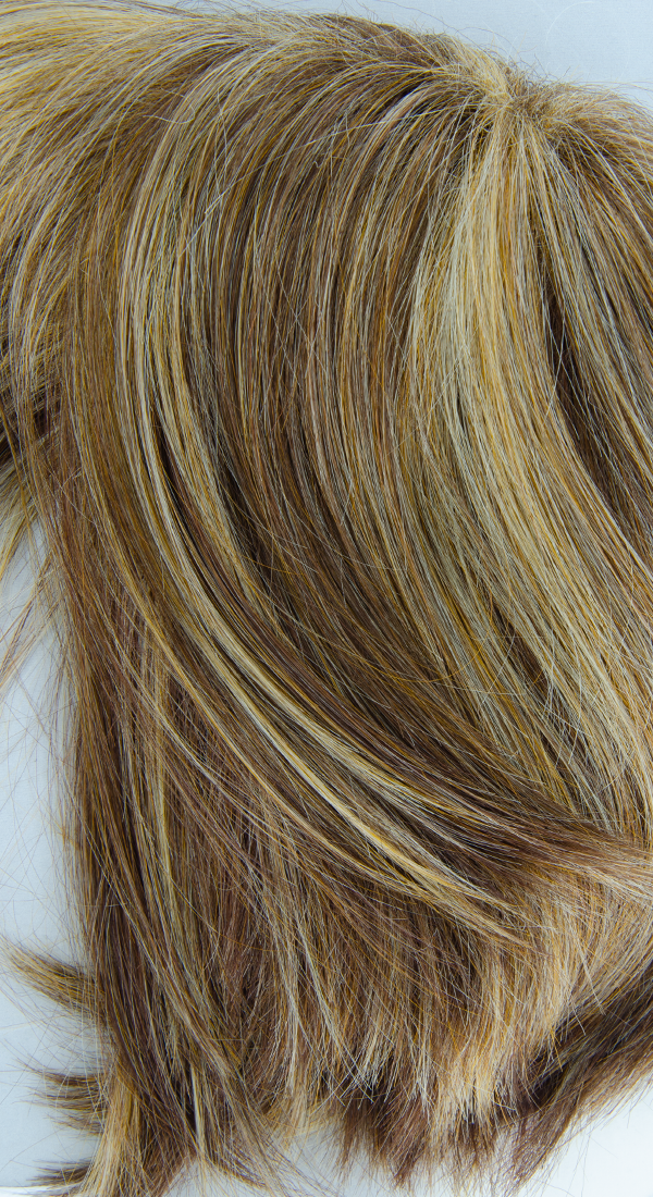 Pralines and Cream - Light Brown Blend with Light Blonde and Butterscotch Blonde Chunky Highlights