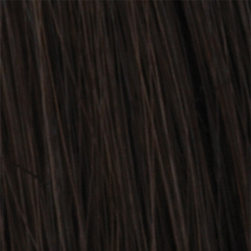 European BL2 - Medium Dark Brown