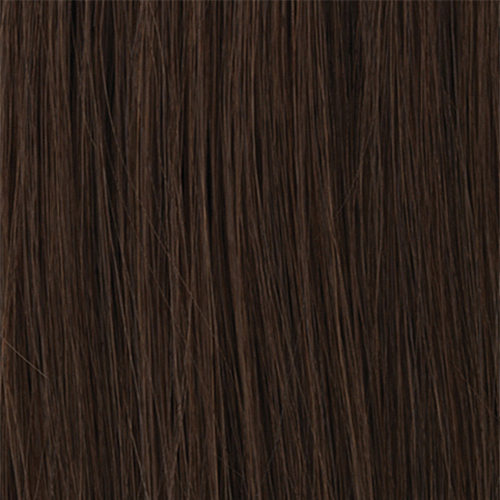 European BL3 - Chestnut Brown