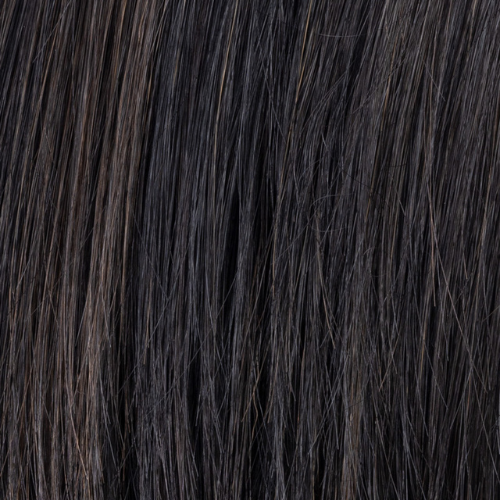 Dark Brown Shad