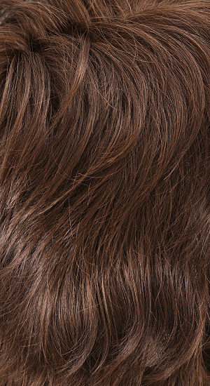 Brown Spice - Dark Chocolate with Light Auburn Highlights