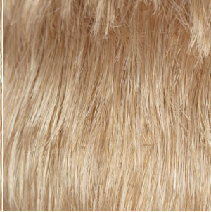 16  Honey Blonde - Medium Natural Blonde