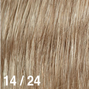 14/24  Very Light Brown with Pale Blonde Highlights