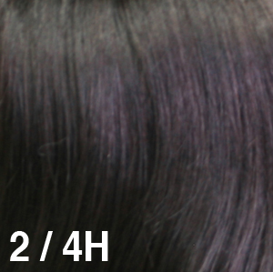  2/4H Very Darkest Brown blended with Dark Brown