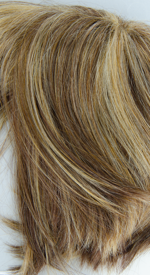 Pralines and Cream - Light Brown Blend with Light Blonde and Butterscotch Blonde Chunky Highlights
